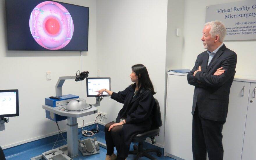 Eyesi eye surgery simulator