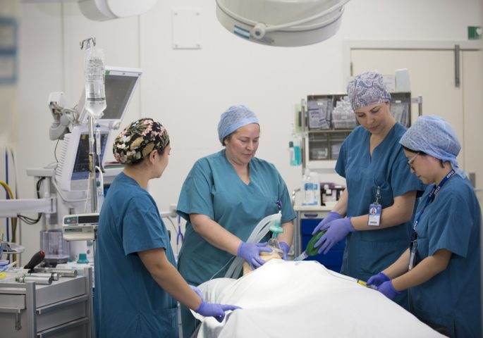 Developing World-Class Simulation in Auckland