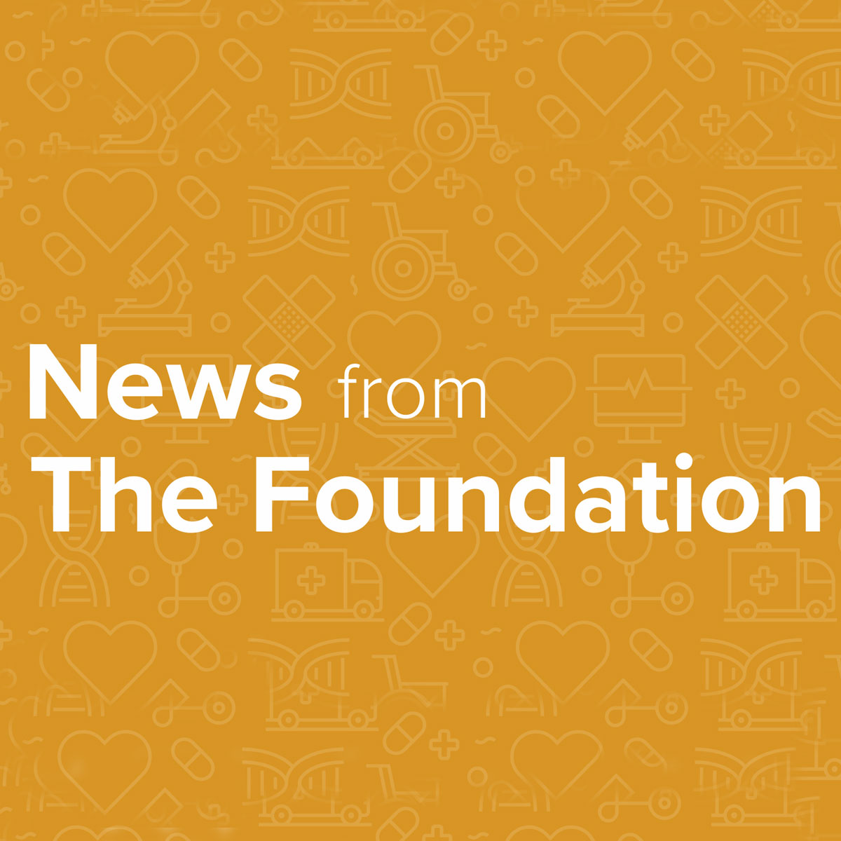 News from the Foundation – Autumn 2026