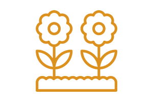 sensory garden for mental health
