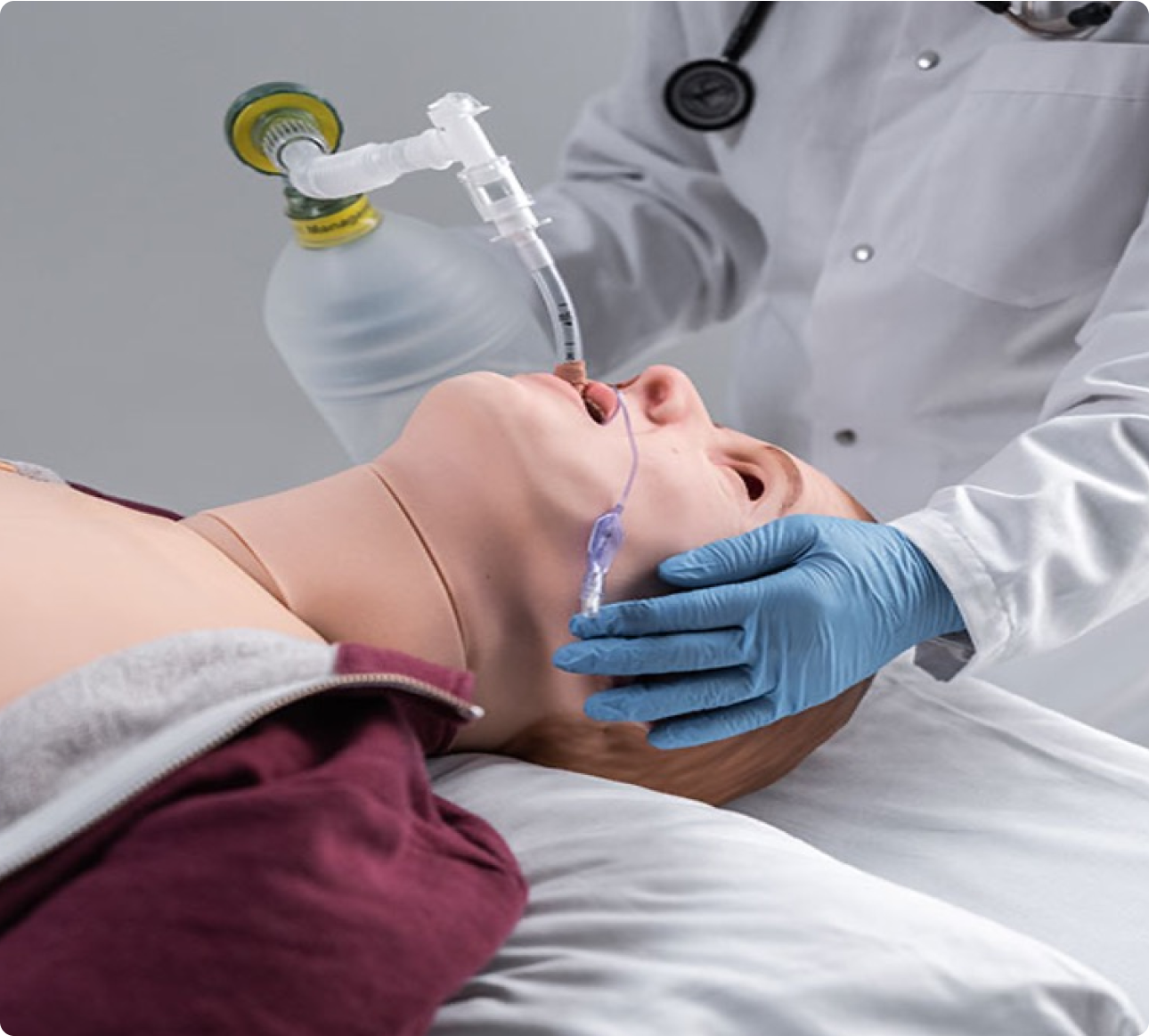 Simulation and transplant advancements