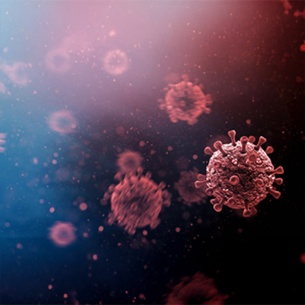 Soluble wild-type ACE2 molecules inhibit newer SARS-CoV-2 variants and are a potential antiviral strategy to mitigate disease severity in COVID-19
